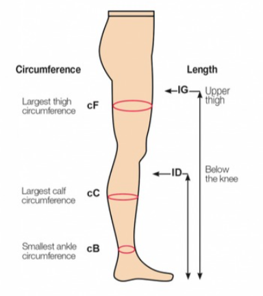 Leg Measurement Diagram